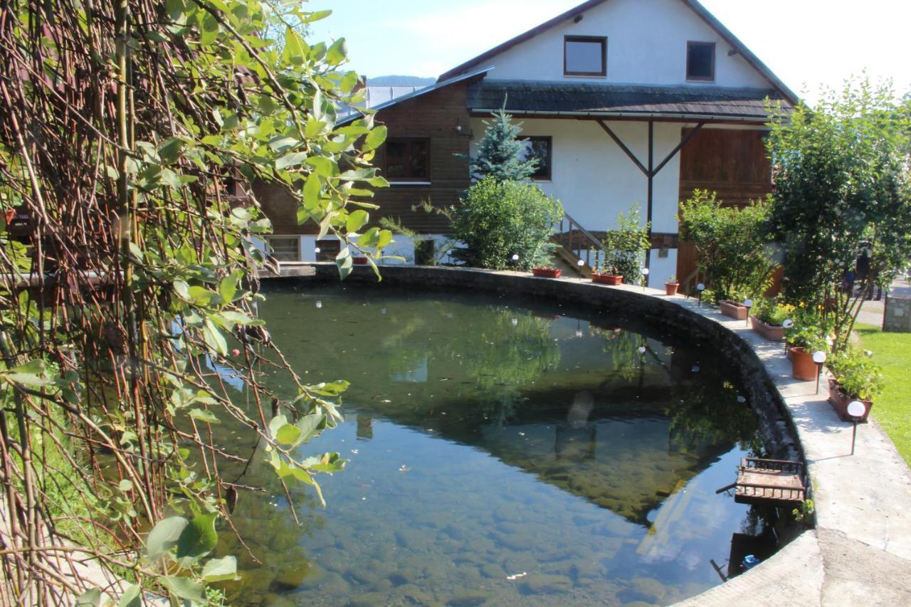 Cazare Rustic Nagy Hotel Vişeu de Sus Exterior foto